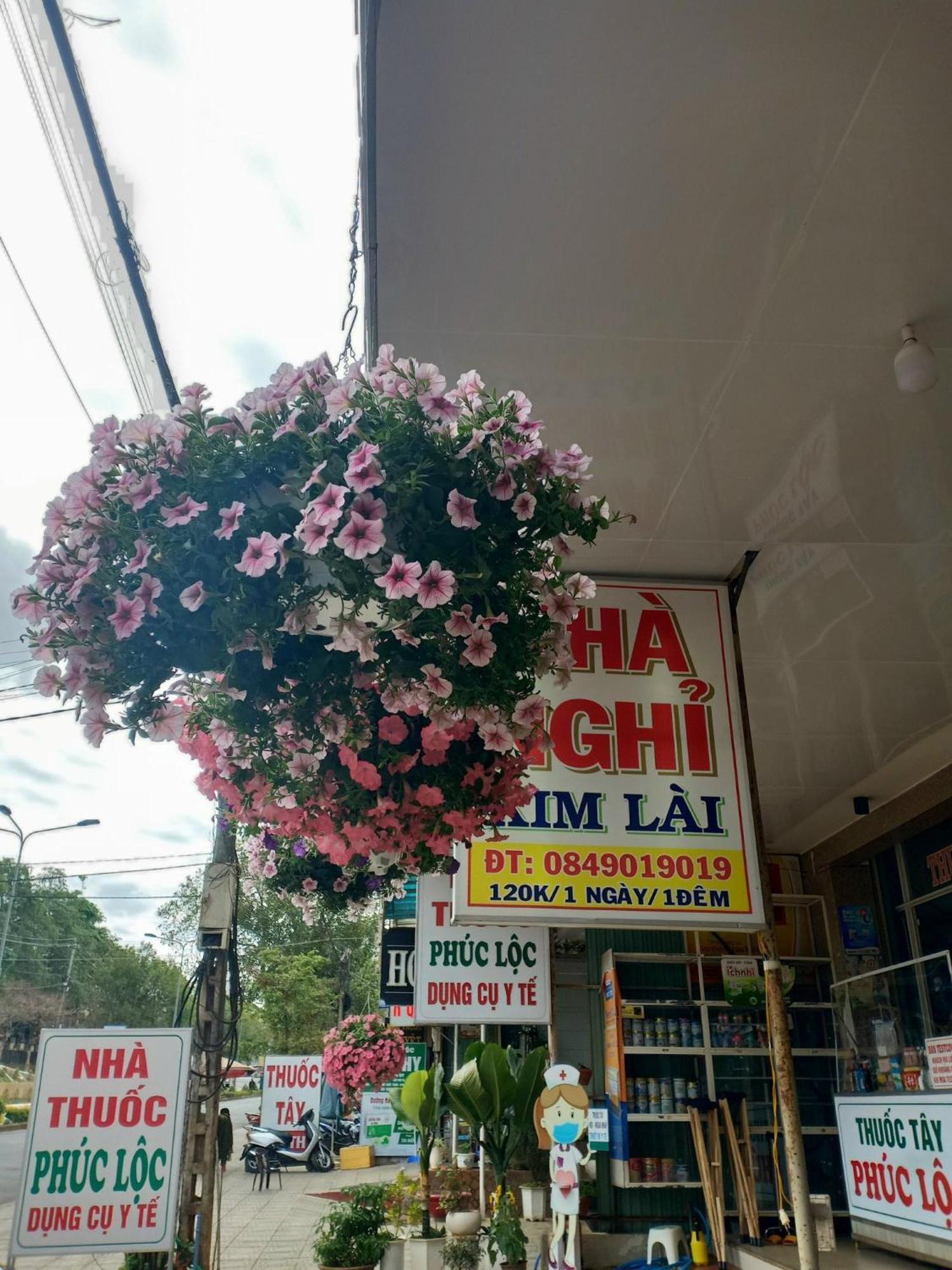 Nha Nghi Kim Lai - Doi Dien Benh Vien Tinh Gia Lai -132 Ton That Tung Pleiku Bagian luar foto